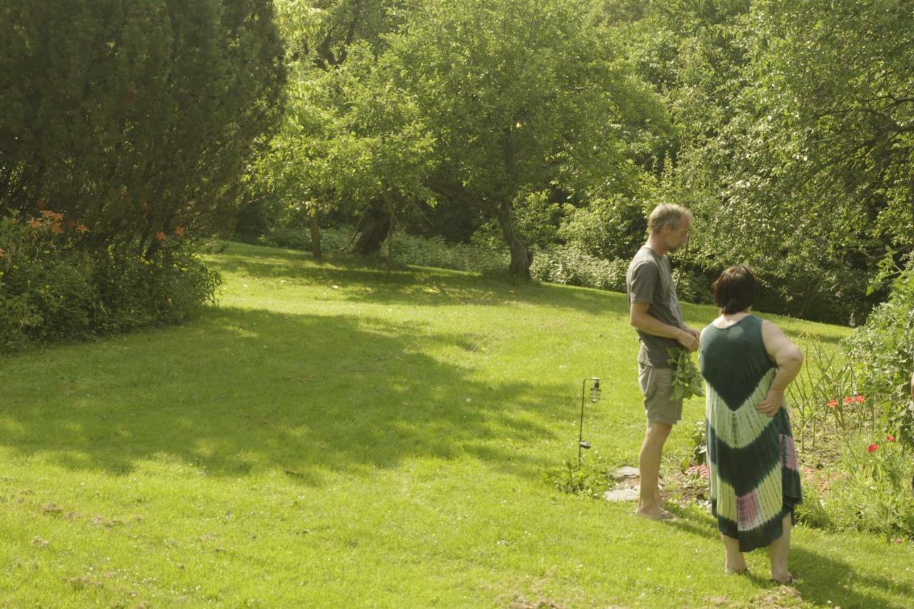 Gite Au Pied Des Appalaches Sainte-Sophie-D'Halifax Eksteriør billede